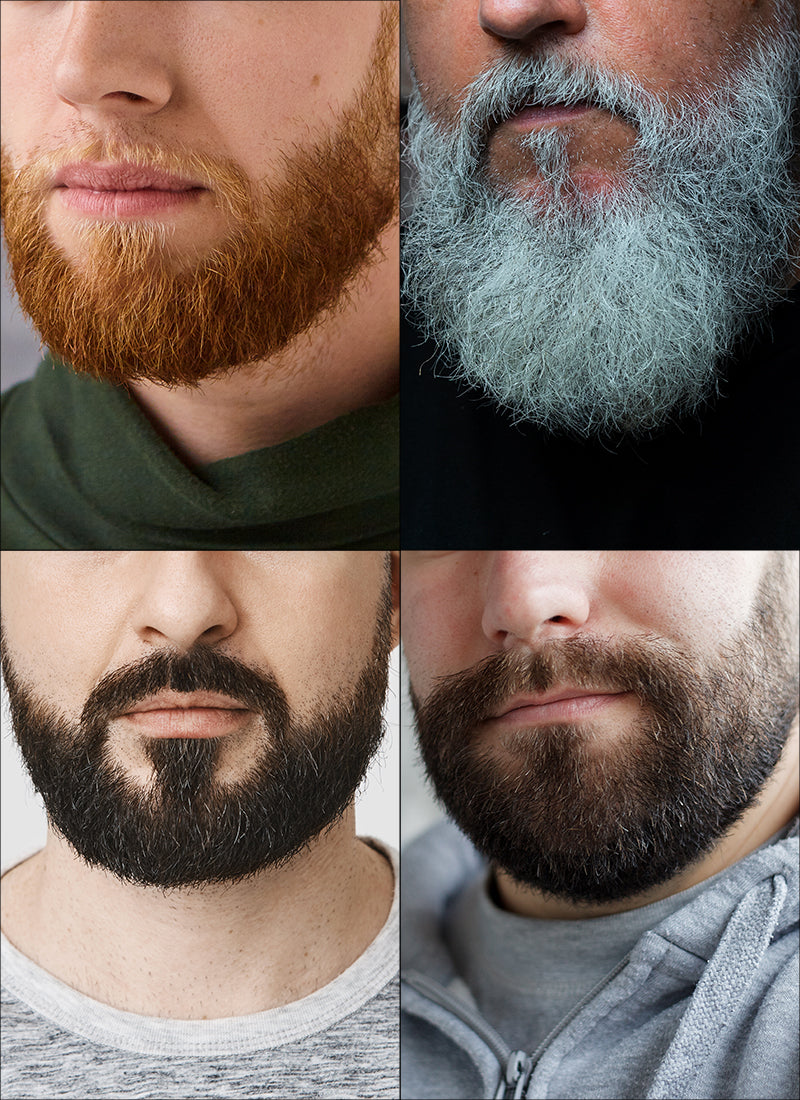 Full Beard Facial Hair Customizable