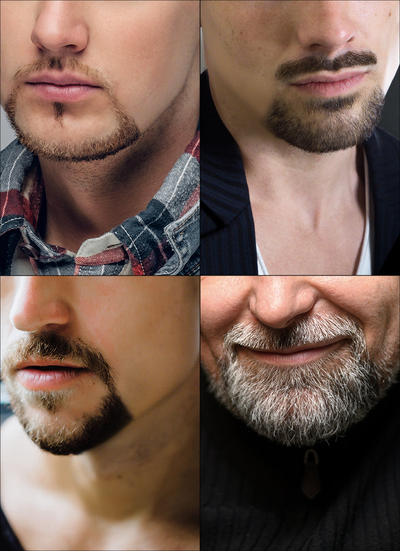 Round Beard Facial Hair Customizable