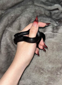 Nude-to-Wine Ombre Cat Claw Sultry Oval Handmade Press-On Nails NF059
