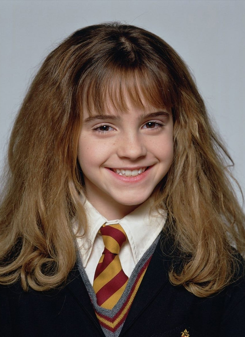 Hermione Granger Harry Potter Inspired Wig CMS023