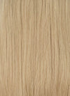 Blonde With Dark Roots Straight Synthetic Wig CSX069