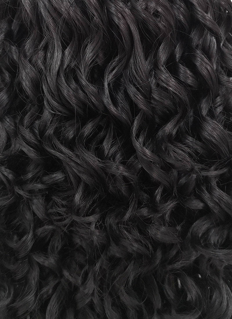 Spiral Curly Black Lace Front Synthetic Wig LF166