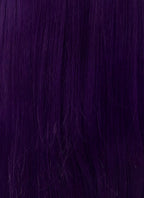 The Apothecary Diaries Jinshi Purple Braided Lace Front Synthetic Men's Wig LF2517