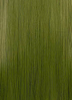 Green Straight Lace Front Synthetic Wig LF3364