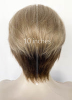 Blonde Brown Peekaboo Straight Lace Front Synthetic Hair Men's Wig LF6108
