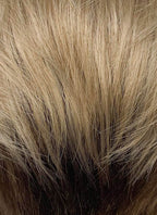 Blonde Brown Peekaboo Straight Lace Front Synthetic Hair Men's Wig LF6108