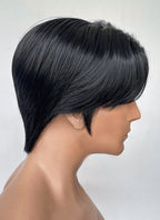 Black Straight Lace Front Synthetic Men's Wig NM027