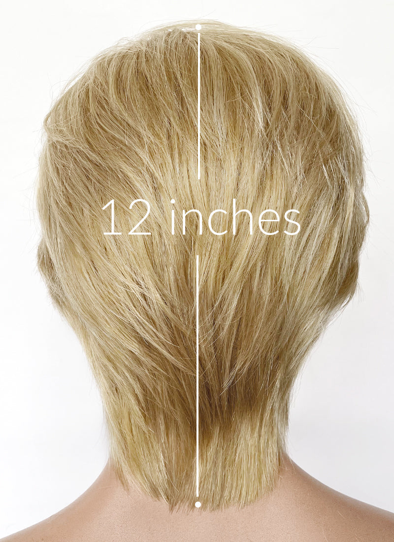 Blonde Straight Lace Front Synthetic Men's Wig LF6148