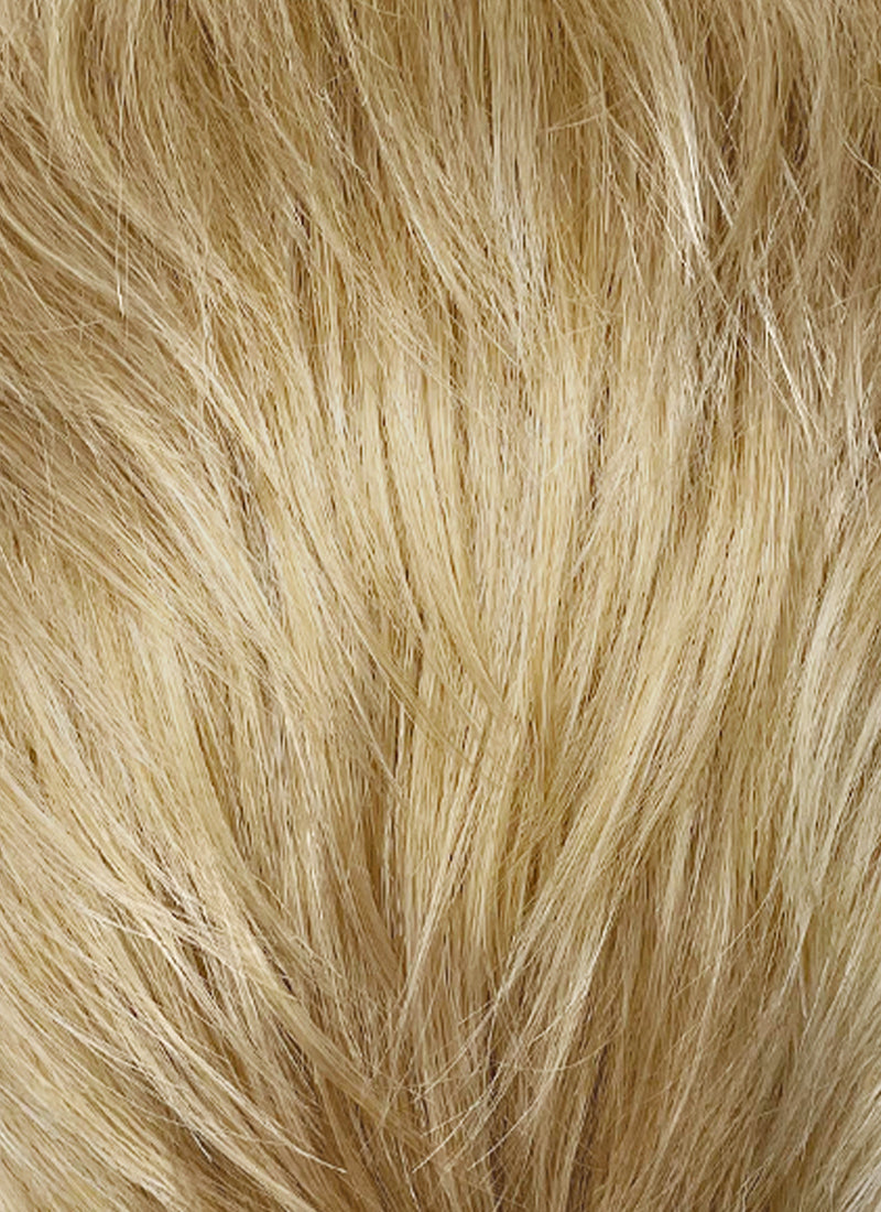 Blonde Straight Lace Front Synthetic Men's Wig LF6148