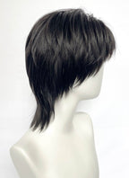 Black Straight Lace Front Synthetic Hair Wig LF6201