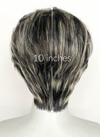 Blonde Mixed Black Straight Lace Front Synthetic Men's Wig LF8044