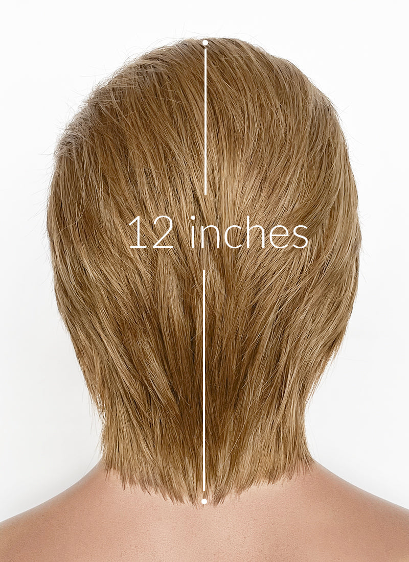 Medium Blonde Straight Lace Front Synthetic Men's Wig LF8078