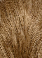 Medium Blonde Straight Lace Front Synthetic Men's Wig LF8078