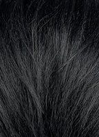 Black Straight Lace Front Synthetic Men's Wig LF8131