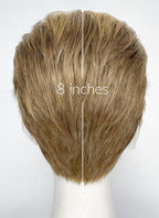 The Boys Homelander Mixed Blonde Straight Lace Front Synthetic Men's Wig LF8133