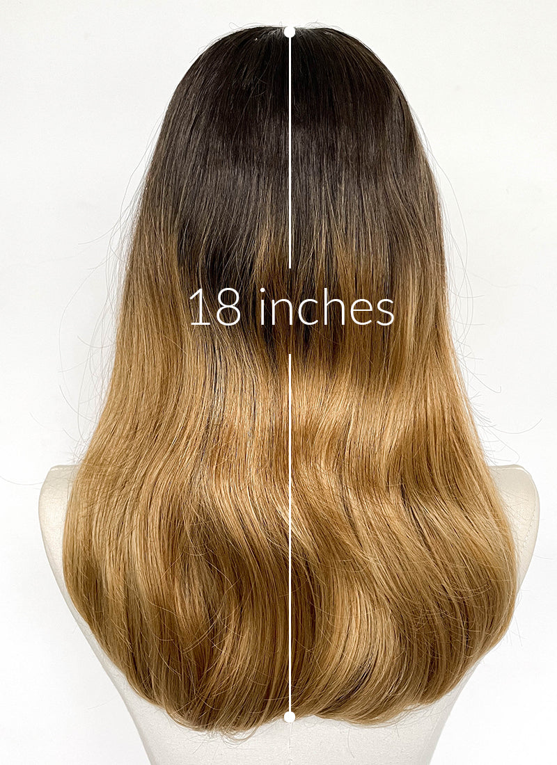 Brown Mixed Blonde Wavy Lace Front Synthetic Wig LFCS354