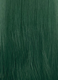 Green Straight Lace Front Synthetic Wig LW4056