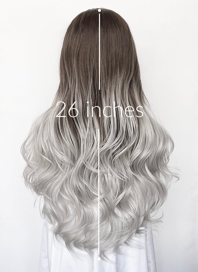 Fourth Wing Violet Sorrengail Brunette Silver Grey Ombre Braided Lace Front Synthetic Wig LF2519