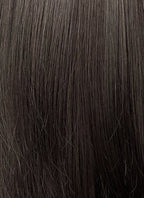 Brunette Straight Synthetic Hair Wig NS526