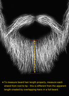 Round Beard Facial Hair Customizable