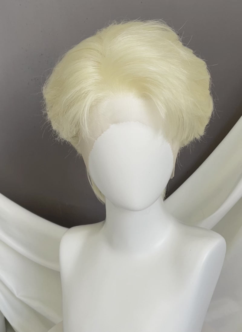 Blonde Straight Lace Front Synthetic Men's Wig LF8049