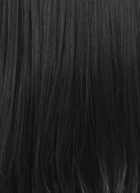 Straight Jet Black Lace Front Synthetic Wig LF002