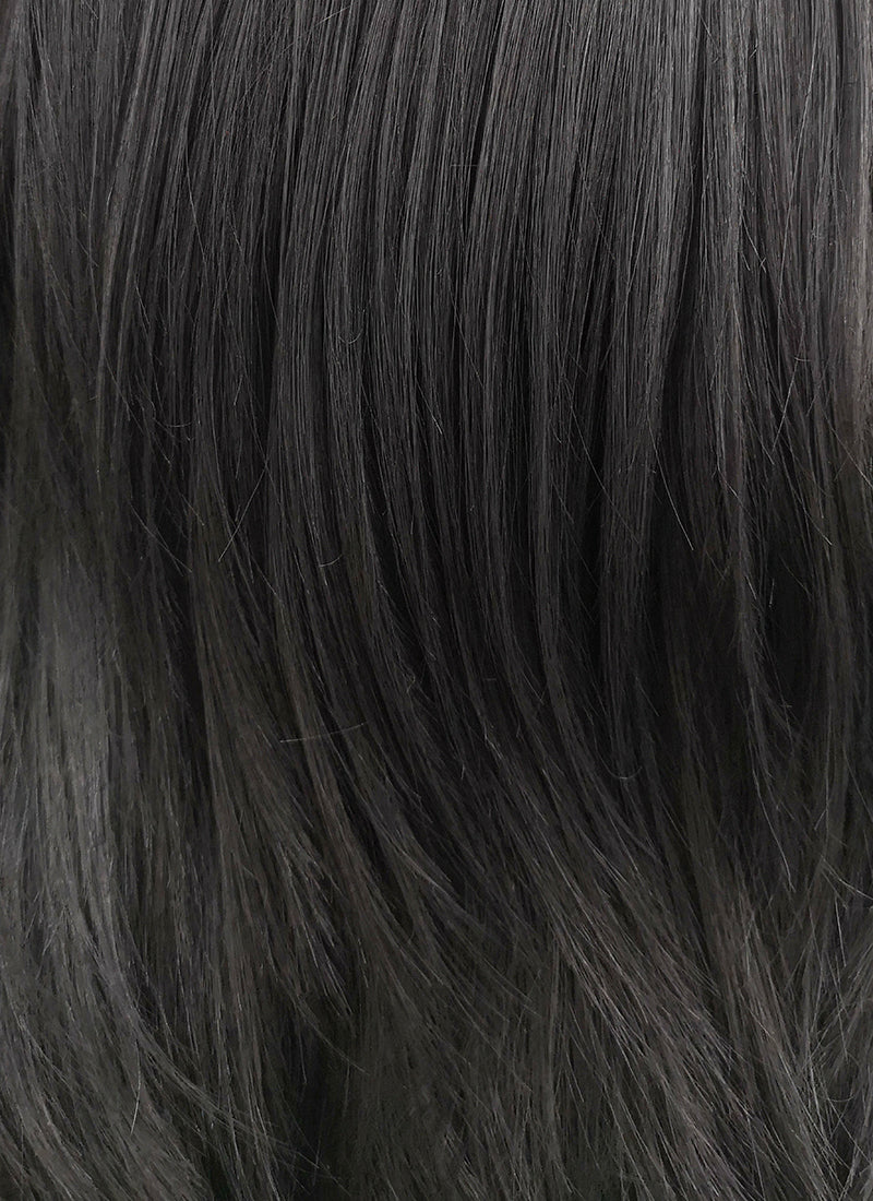 Jet Black Straight Lace Front Synthetic Wig LF262 - Wig Is Fashion Australia