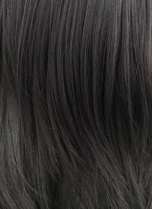 Jet Black Straight Lace Front Synthetic Wig LF262 - Wig Is Fashion Australia