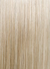 Mixed Blonde With Dark Roots Straight Lace Front Kanekalon Synthetic Wig LF3235