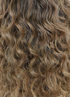 Mixed Blonde With Brown Roots Curly Lace Front Kanekalon Synthetic Wig LF3242