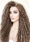 Brown Mixed Blonde Curly Lace Front Synthetic Wig LF5154