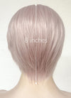 Pastel Pale Plum Straight Lace Front Synthetic Men's Wig LF6017