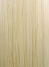 Straight Yaki Blonde Lace Front Synthetic Wig LF701E - Wig Is Fashion Australia