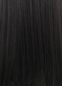 Straight Jet Black Lace Front Synthetic Wig LFB002 - Wig Is Fashion Australia