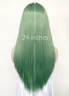Green With Dark Roots Straight Yaki Lace Front Synthetic Wig LN6029