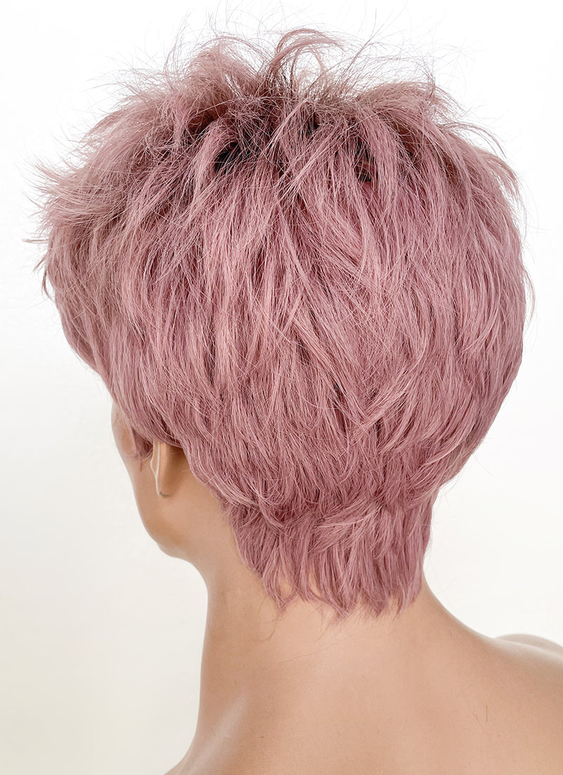 Ash Pink With Dark Roots Straight Pixie Synthetic Hair Men's Wig NS427