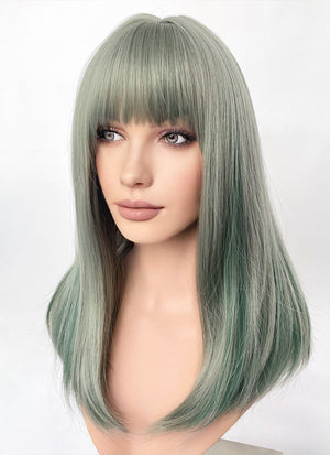 Green With Highlights Straight Synthetic Hair Wig NS493