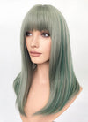 Green With Highlights Straight Synthetic Hair Wig NS493
