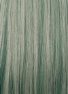 Green With Highlights Straight Synthetic Hair Wig NS493