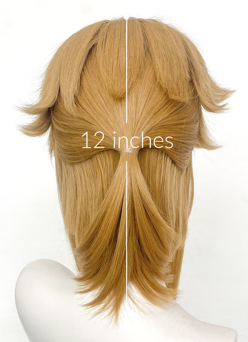 The Legend of Zelda: Tears of the Kingdom Link Blonde Synthetic Hair Wig TB1658